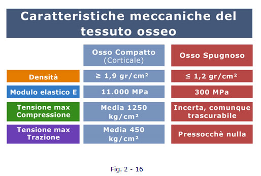 implantologia funzionale, dentista, dentiera, carie, impianti dentali, protesi fissa, protesi dentale, impianti a vite, ortodonzia, intarsi in ceramica