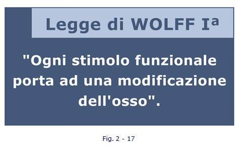 implantologia funzionale, dentista, dentiera, carie, impianti dentali, protesi fissa, protesi dentale, impianti a vite, ortodonzia, intarsi in ceramica