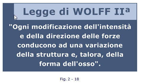 implantologia funzionale, dentista, dentiera, carie, impianti dentali, protesi fissa, protesi dentale, impianti a vite, ortodonzia, intarsi in ceramica