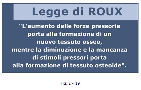 implantologia funzionale, dentista, dentiera, carie, impianti dentali, protesi fissa, protesi dentale, impianti a vite, ortodonzia, intarsi in ceramica