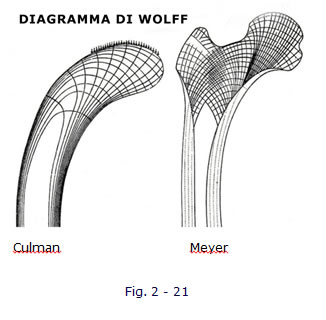 implantologia funzionale, dentista, dentiera, carie, impianti dentali, protesi fissa, protesi dentale, impianti a vite, ortodonzia, intarsi in ceramica