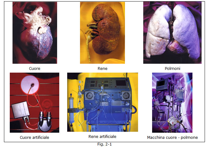 implantologia funzionale, dentista, dentiera, carie, impianti dentali, protesi fissa, protesi dentale, impianti a vite, ortodonzia, intarsi in ceramica, implantologia a carico immediato, all on six, all on four, protesi estetica