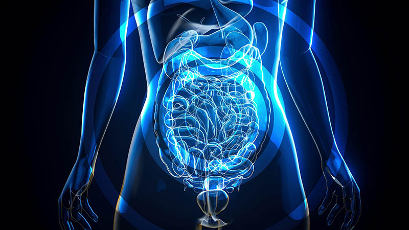 Microbiota intestinale